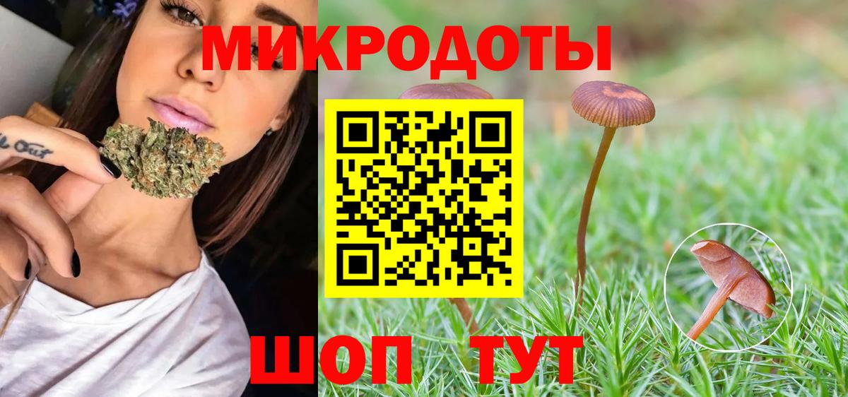 Славянск-на-Кубани  Псилоцибиновые грибы ЛСД  Вход с VPN 